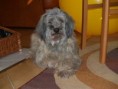 /album/asta/p2280388-babicka-asta-asi-17-let-jpg/